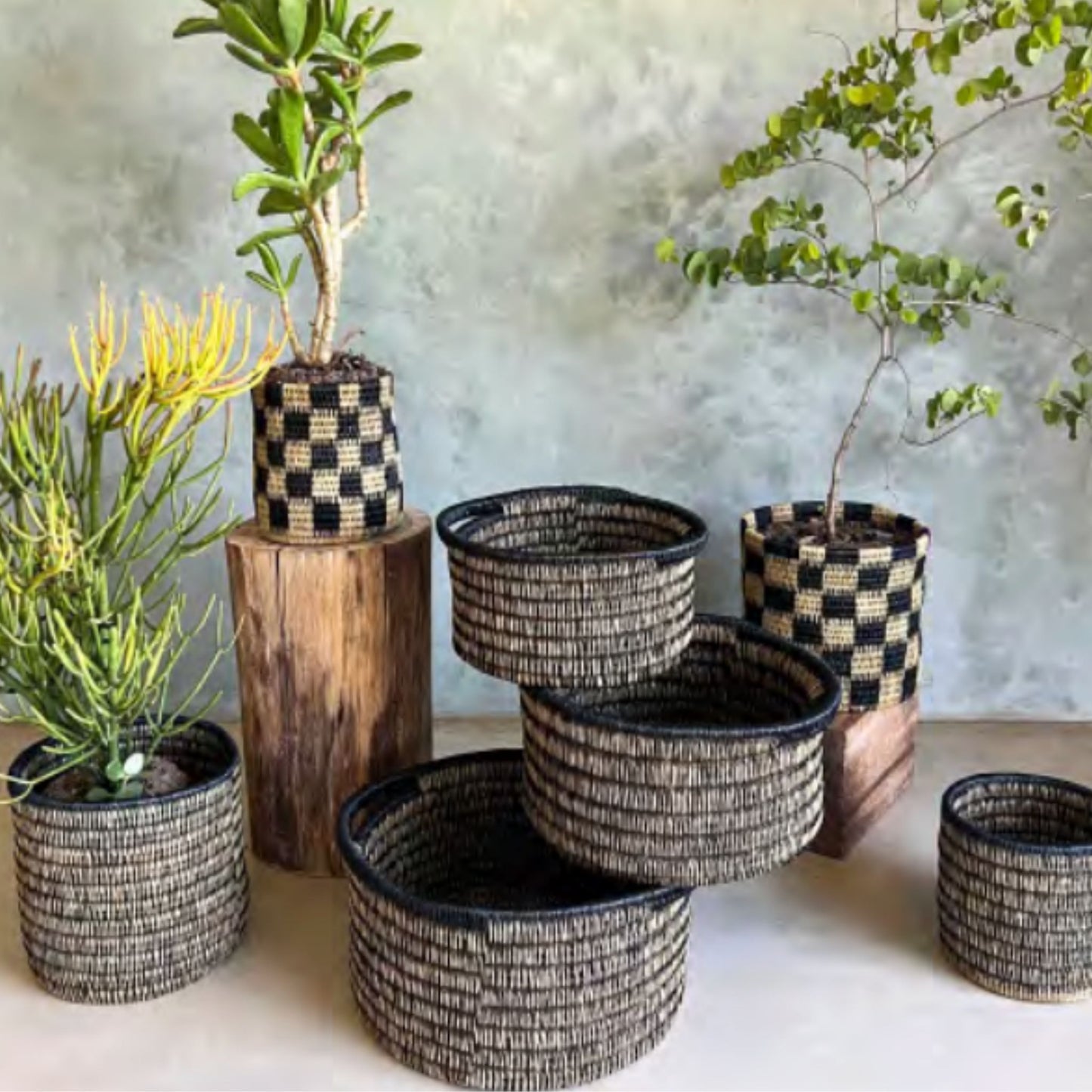 Lindi lavumisa grass storage baskets with handles